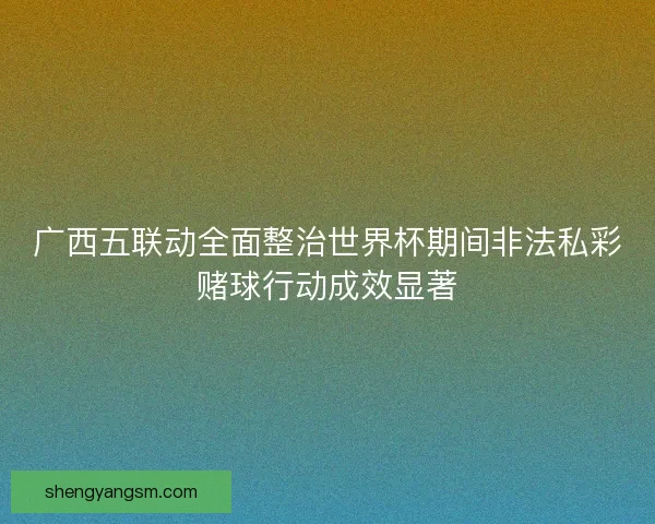 广西五联动全面整治世界杯期间非法私彩赌球行动成效显著
